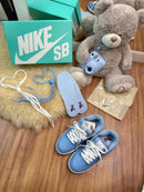 Nk Dunk Teddy Bear Azul