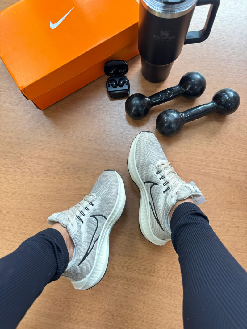 Nk Pegasus 39 Off White